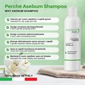Asebum Shampoo Specifico per Cuoio Capelluto e Capelli Grassi