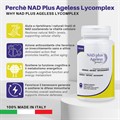 NAD Plus Ageless Lycomplex Integratore alimentare ad azione antiossidante ed anti-invecchiamento