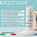 Equagen Crema Viso Riequilibrante Delicata Azione Lenitiva e Sebonormalizzante