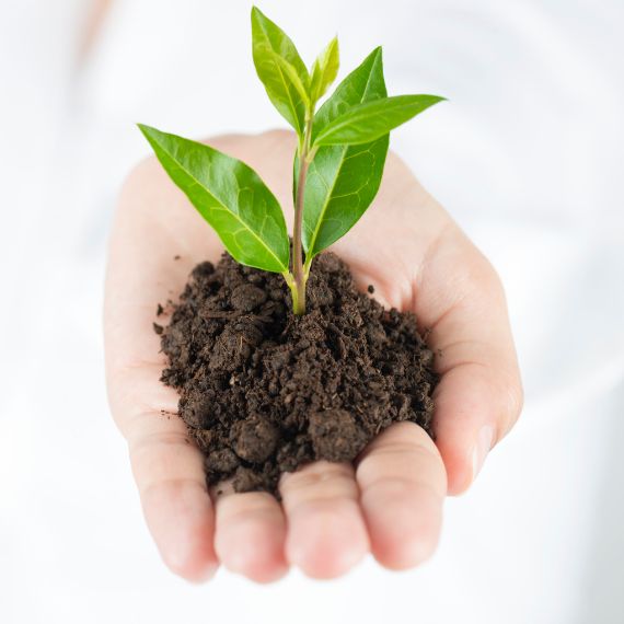 sostenibilita-chi-siamo-licofarma-lycopenestore