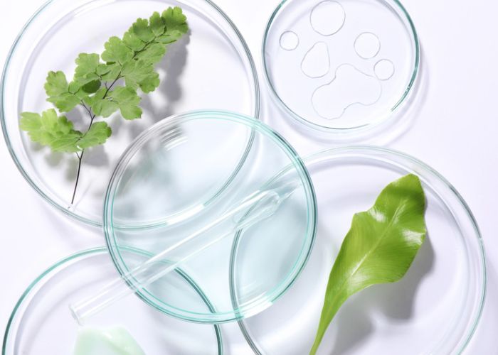 qualita-senza-compromessi-licofarma-lycopenestore1